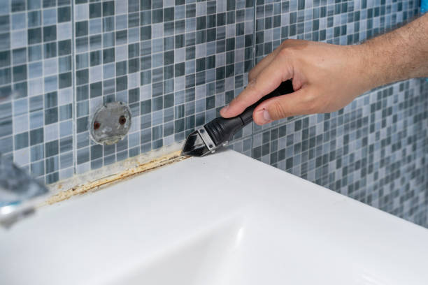 Best Fast Mold Removal  in Hollymead, VA