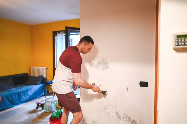 Best Commercial Mold Removal  in Hollymead, VA